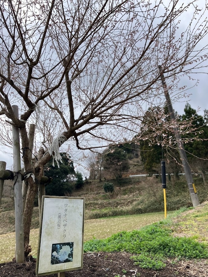 神魂神社