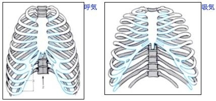 自転車トレで膝の痛み 原因は肩の打撲 無意識下に問う うるうカイロプラクティック院のニュース まいぷれ 霧島 姶良