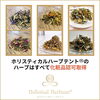 煮出したハーブ煮汁を皆さんに入浴剤としてプレゼント「ホリスティカルハーブテントのテントハーブ「セレニティ」」