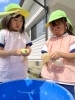 「八女市で保育園をお探しの保護者様へ　とうもろこしの収穫」