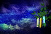 今日7日は七夕の節句「今日7月7日（火）から二十四節気11番目の「小暑」に入ります。「小暑」の期間は、次の節気「大暑」の前日7月22日（月）までの期間をいいます。」