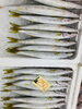 「魚魚市場鮮魚コーナーおすすめは「北海道産甘エビ・広島産生カキ」です♪」