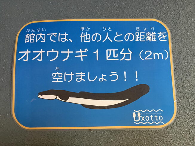 ウナギ推し「今、浜名湖の水族館が面白い!/静岡の水槽レンタルはアクアデザインブルースにお任せ/水槽プロデュース/島田市/」