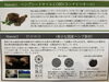 ノアールサティバ成分「ストレスと頭皮脂を取り除くヘッドスパ☆」