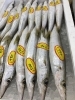 「魚魚市場鮮魚コーナーおすすめは「伊勢エビ」です♪」