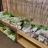 「地元の野菜が入荷します！道の駅木曽福島」