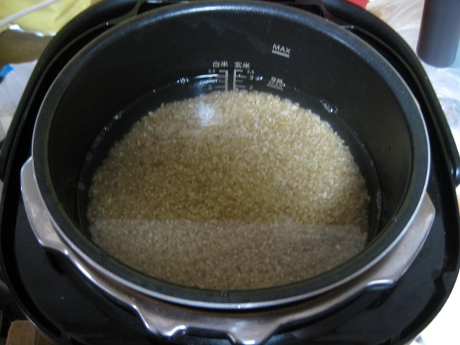 水加減は多め、圧力5で23分で炊いています。「玄米がモッチモチに炊ける！　話題の電気圧力なべ♪　　　　　　　　　　　　　　　　湖南市石部　有限会社大継時計電気店」