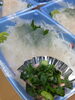 「今日は鮮度バチバチの甘エビ入ってきてます🦐🦐✨️✨️」