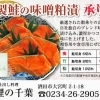 鮭の味噌粕漬け