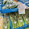 「南信州産『桃（あかつき）』入荷しました！」