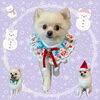「Dog salon mofu mofu　余市町」