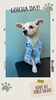 「Dog salon mofu mofu　余市町」