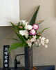 「5月12日(月) 定休日です」