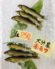 「魚魚市場鮮魚コーナーおすすめは「大分県産養殖あゆ・イサキ」です♪」
