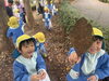 大きな葉っぱ、見つけたよ！「落ち葉ひろい（年中組）」