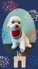 「Dog salon mofu mofu　余市町」