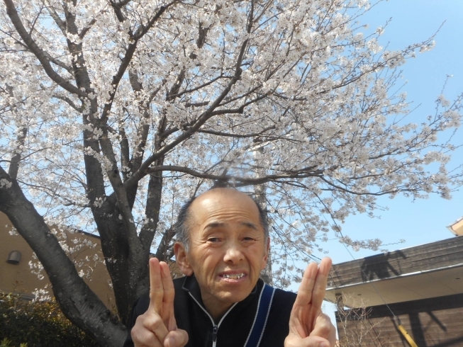 敷地内の桜と一緒に。「☆新年度になりました☆」