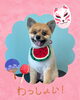 「Dog salon mofu mofu　余市町」