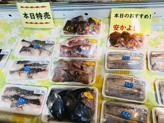 「魚魚市場鮮魚コーナーおすすめは「小アジ」です♪」