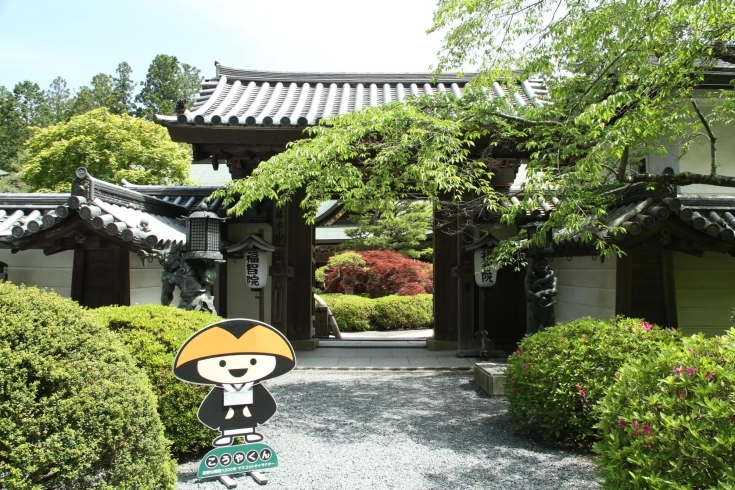 「今日のおすすめツアー紹介❣【高野山日帰り観光ツアー(タクシー付き)】」