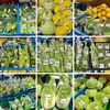 「地元産『夏野菜』入荷します！道の駅木曽福島」