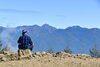 「気軽に登れるのに、大自然を満喫できる入笠山」