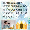「デブ菌、痩せ菌て何？」