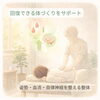 回復できる体づくりをサポートします「朝から疲れているのはなぜ？寝ているのに回復しない体の仕組み｜カイロシガ整体院」