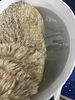 「【新潟市】シーズー・パグ・フレブルの飼い主さまへ｜脂性肌のケア｜トリミングサロンHappy Tail」