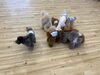 ノーズワーク中😋「ましゅまろ幼稚園🐾」