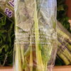 「岩手県オリジナル品種の菜花(なばな)、 「はるの輝」の入荷が始まってますよー！！！」