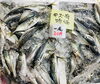 「魚魚市場鮮魚コーナーおすすめは「レンコ鯛・マングローブガニ」です♪」