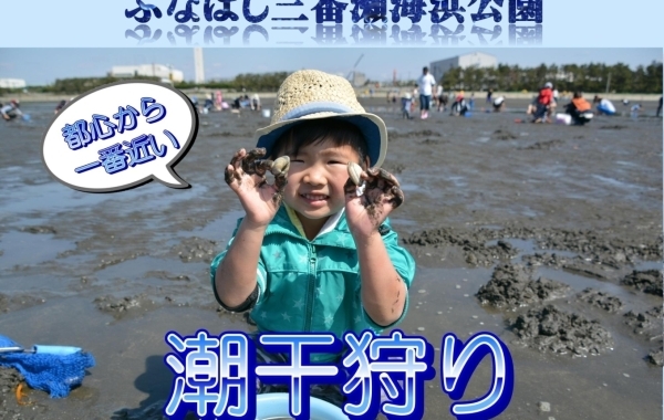 ふなばし三番瀬海浜公園潮干狩り2024情報！　期間は4月24日（水）～5月29日（水）まで