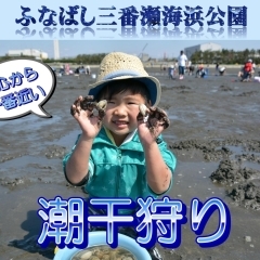 ふなばし三番瀬海浜公園潮干狩り2024情報！ 期間は4月24日（水）～5月29日（水）まで| まいぷれ[船橋市]