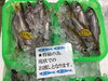 「魚魚市場鮮魚コーナーおすすめは「クロムツ・カマス」です♪」