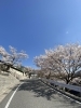 「新見公立大学で「まいぷれ」をPRしてきました！」