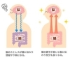 「腸」が元気だと「脳」も元気！　ヽ(^o^)丿「腸と脳はつながっている…？！　　　　　　　　　　　　って事は、腸とメンタル面も関係がありそうですね。」
