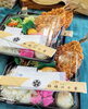 ジャンボアジフライ弁当「【速報】13時半現在 お弁当・サンドイッチ情報～」