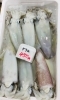 「魚魚市場鮮魚コーナーおすすめは「チカメキントキ・カマス」です♪」