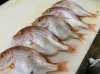 連子鯛「8月5日(木) 魚魚レストランのおすすめランチは「連子鯛の唐揚げ」です♪」