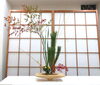 生徒様作品「【銀座　いけばな教室】お正月花をいけました🎍」