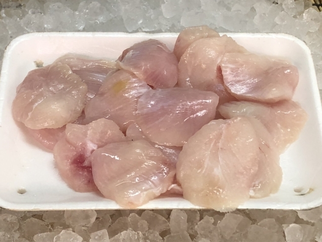 本日 生ニシン販売しております O M T本間水産のニュース まいぷれ 小樽市 本日 生ニシン販売しております O M T本間水産のニュース まいぷれ 小樽市