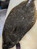 「大原沖で釣り上げたヒラメとマハタをお刺身で」