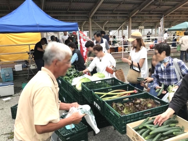 イベント風景「今週末！！苫小牧駅南口でモザイクマーケット」