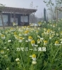 「雲海に包まれるんです・・・⛰️✨✨✨」
