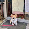 Today's hug「Good morning Otaru」