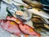 「西海物産館 魚魚市場鮮魚コーナーおすすめ商品は「殻付き牡蠣 特売」です♪」