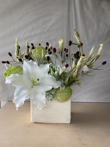 月命日のお花 花職人 Emigreenmoon エミグリーンムーン のニュース まいぷれ 黒部 入善 朝日 月命日のお花 花職人 Emigreenmoon エミグリーンムーン のニュース まいぷれ 黒部 入善 朝日