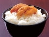 生雲丹と一夜漬け「北海道ご当地グルメを味わえる！お取り寄せ企画はじめました。」