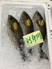 「魚魚市場鮮魚コーナーおすすめは「伊勢エビ」です♪」
